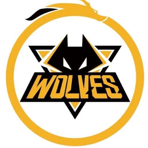 狼队老林爆料最新消息,最新消息揭秘球队动态与幕后故事